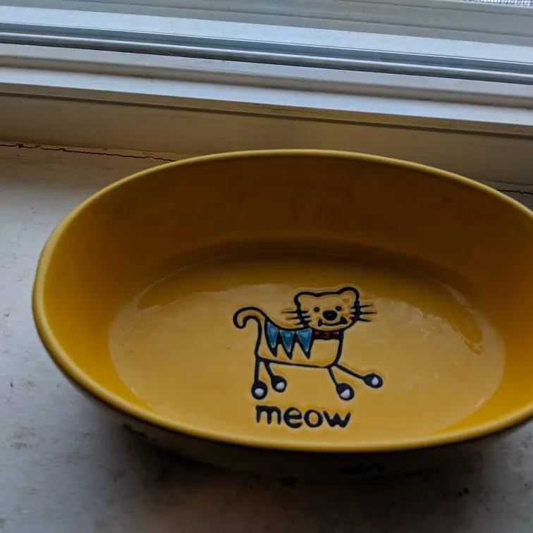 Cat Food Bowl photo 1