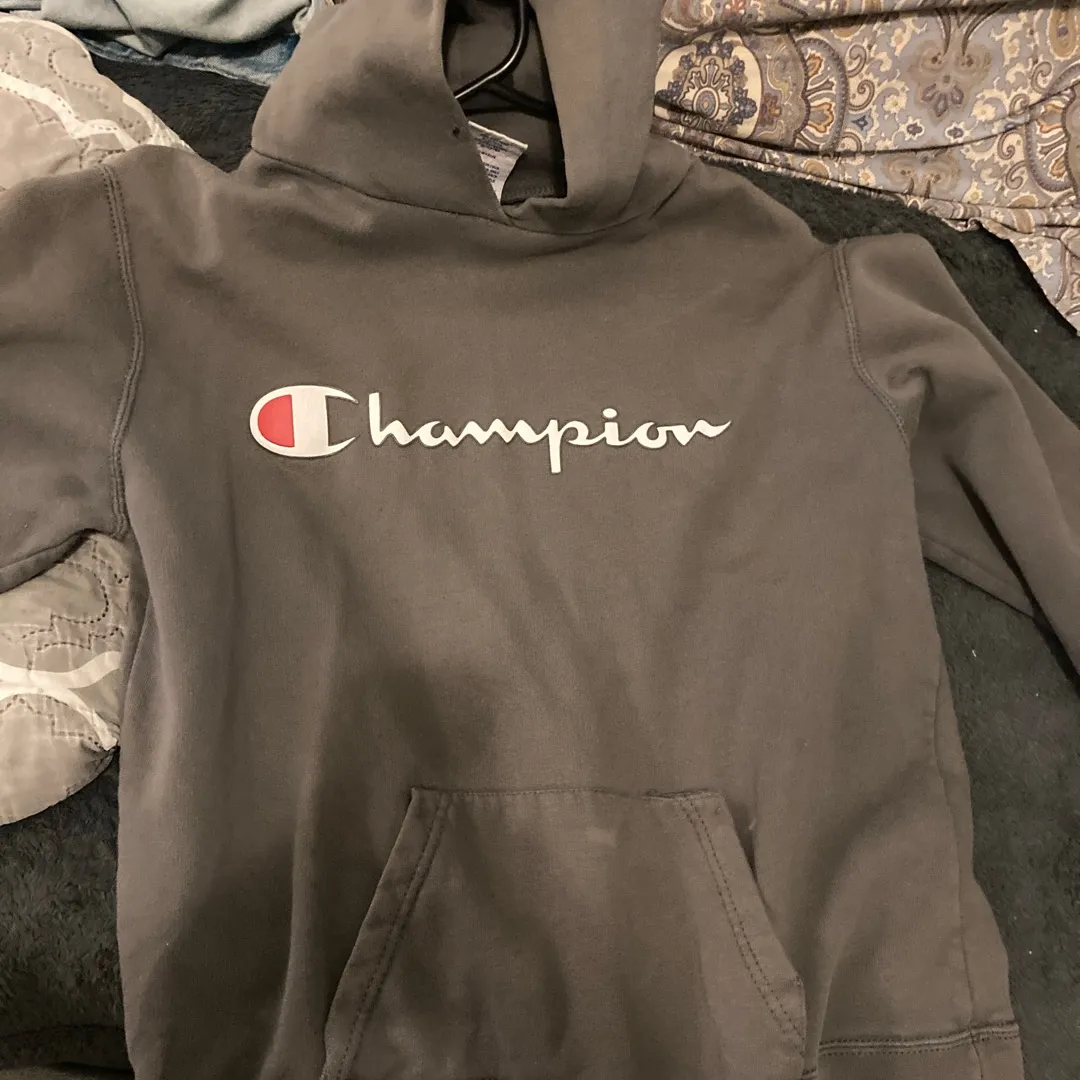 Gray champion  hoodie photo 1