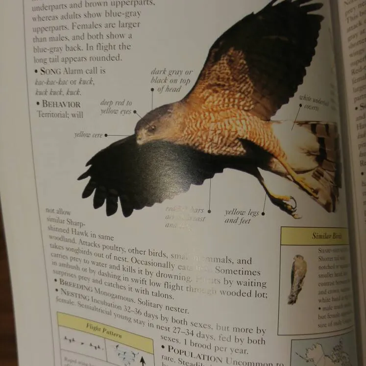 Birds Of Canada Book photo 3
