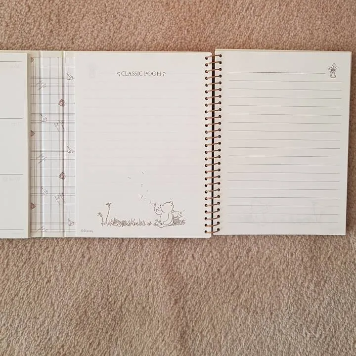 Pooh Diary/ Date Book photo 6