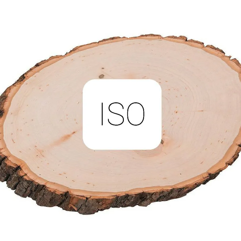 ISO Wood Slice photo 1