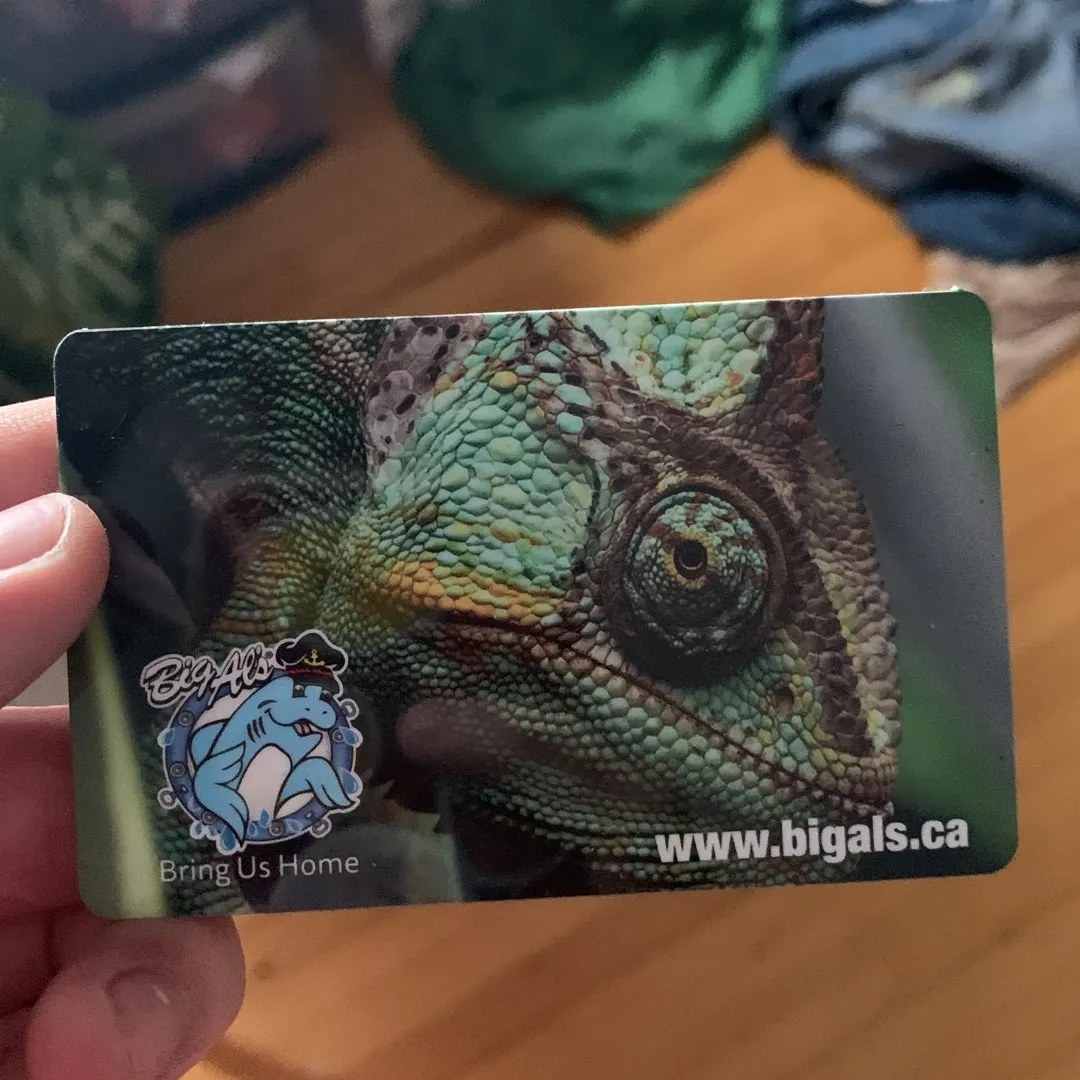 $20 Big Al’s Gift Card photo 1
