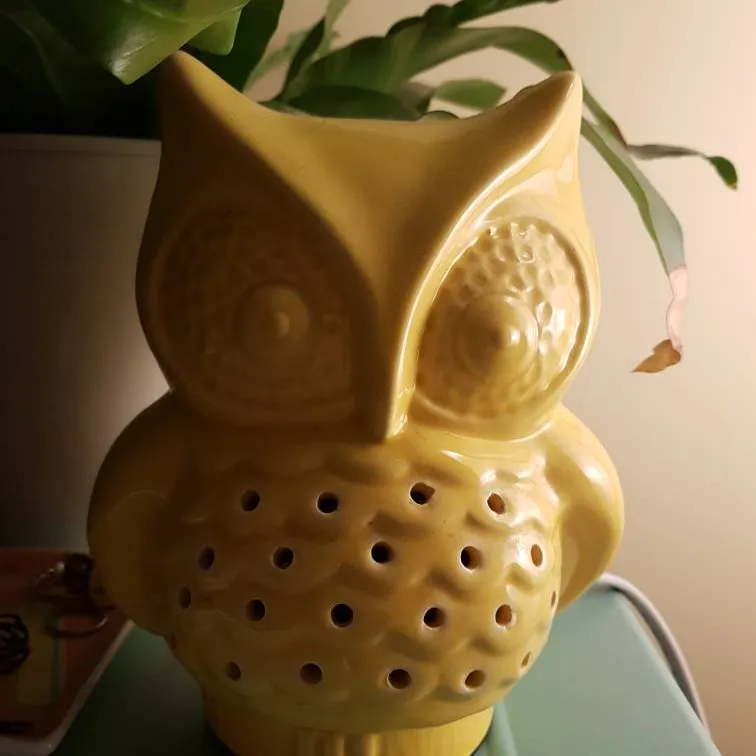This Owl Lamp! photo 1