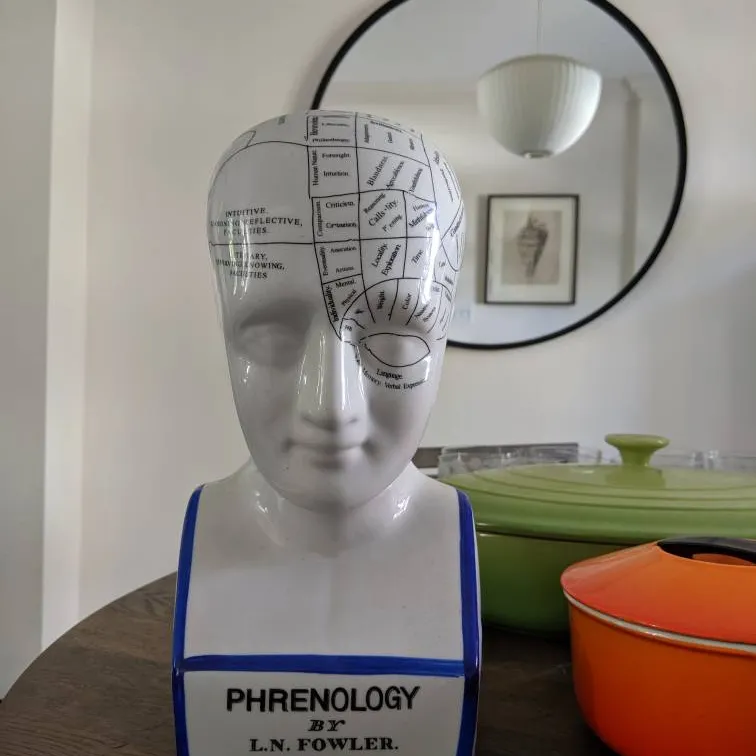 Ceramic phrenology head photo 1