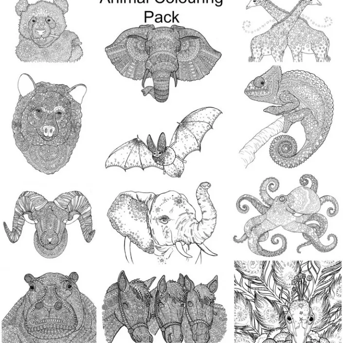 New! Animal Themed Colouring Posters photo 4