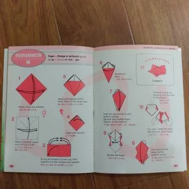 Beginner Origami Books photo 4