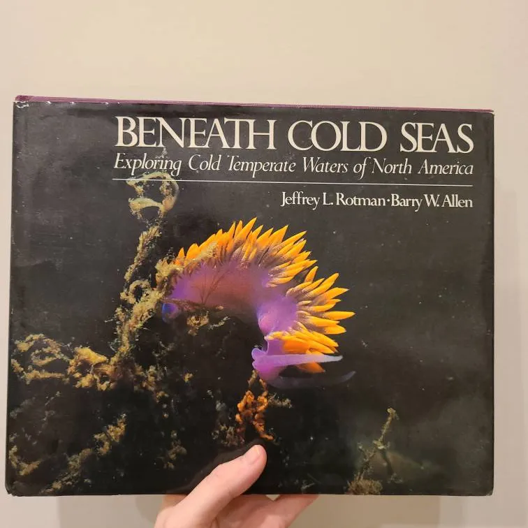 Beneath Cold Seas photo 1