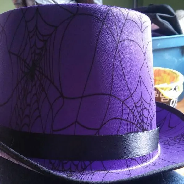 Purple Spider Web Top Hat photo 1
