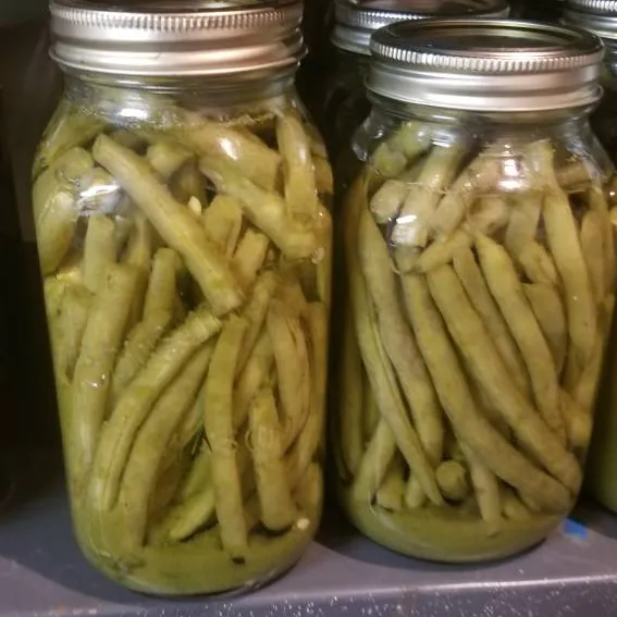 Home Made Pickled Beans photo 3