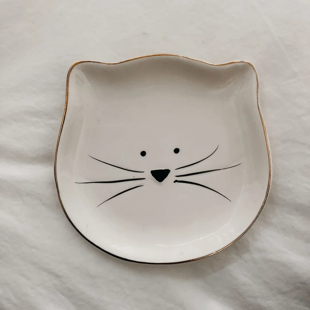 Cat Dish photo 1