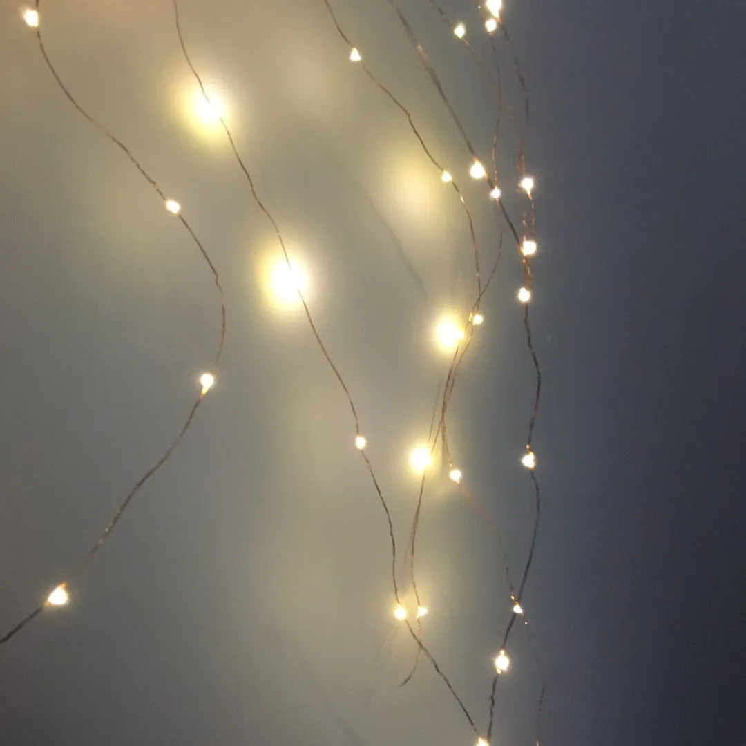 Urban Outfitters LED Fairy Lights photo 1