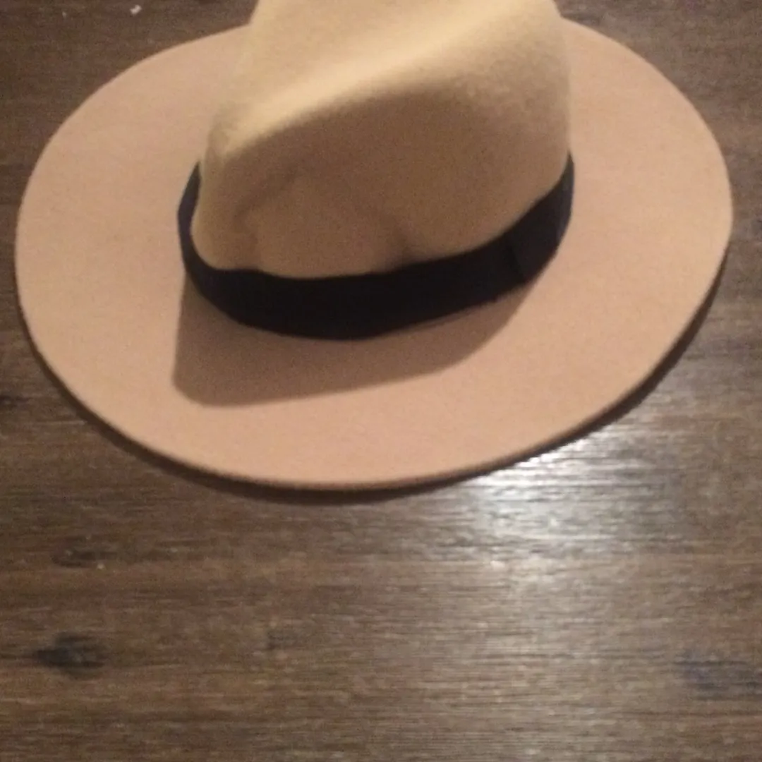 Cool Felt Hat (Unisex) photo 1