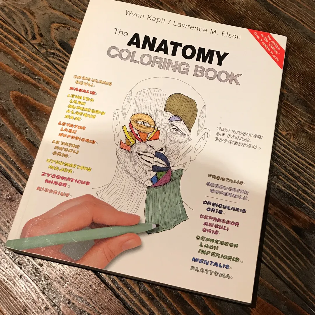 Anatomy Colouring Book photo 1