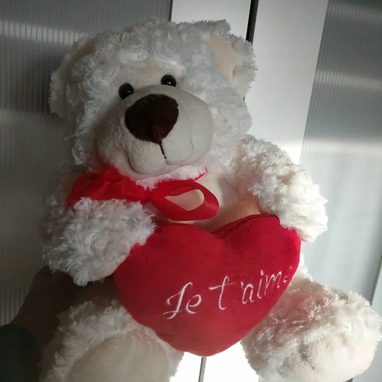Valentine's Teddy Bear photo 1