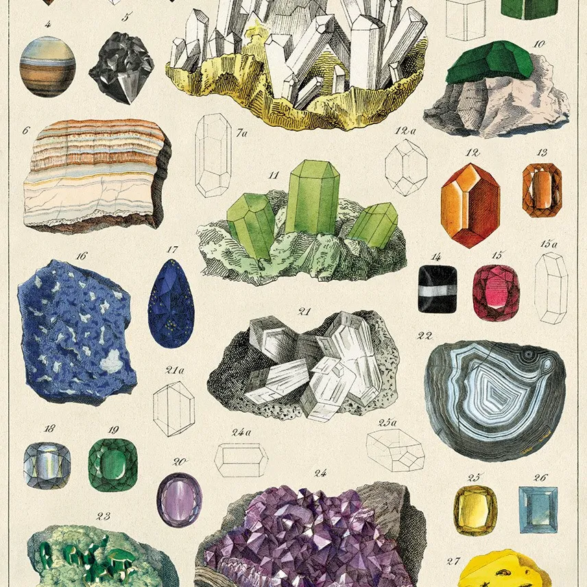 Cavallini’s mineralogie (20x28”) photo 1