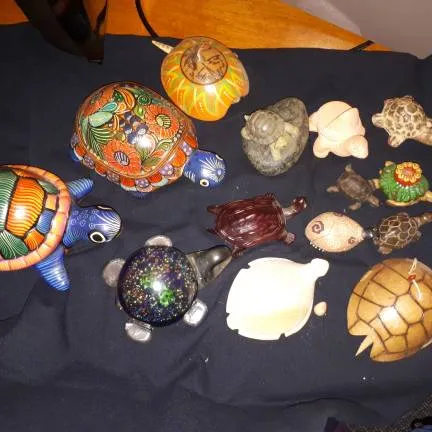 Turtle Collection photo 3