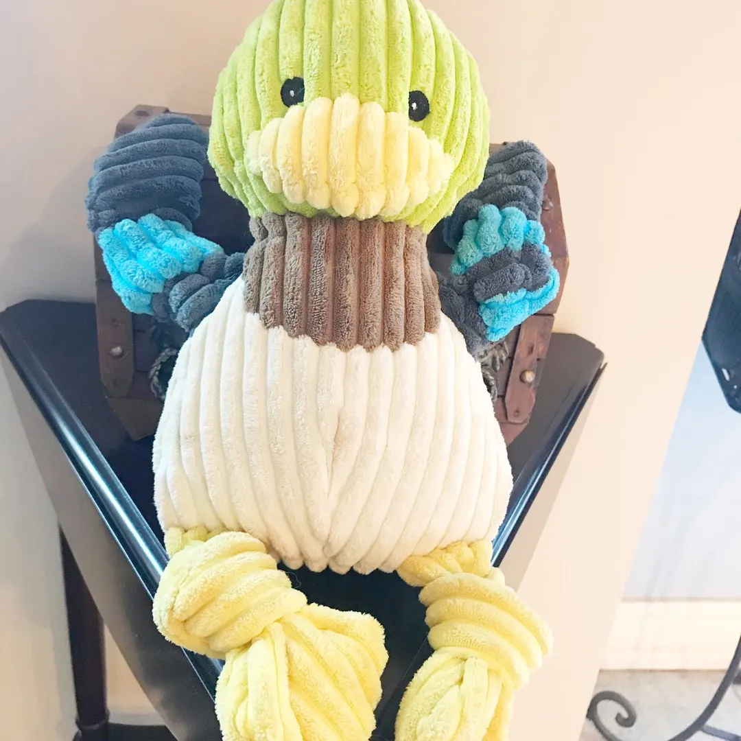 Quality Duck Dog Toy photo 1