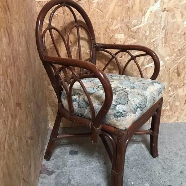 Bentwood Rattan Chair photo 1