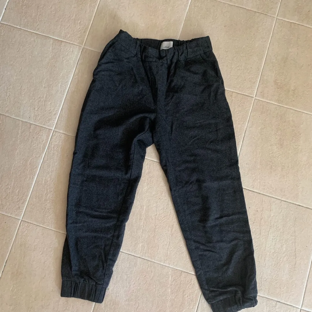 Wilfred Wool & Cashmete Turquet Pant (size Small) photo 1