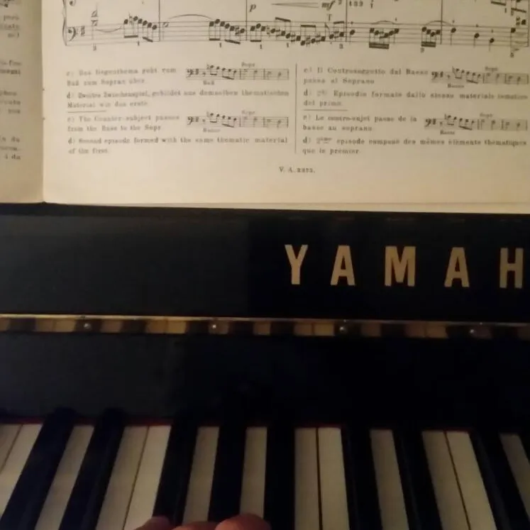Piano Lessons photo 1