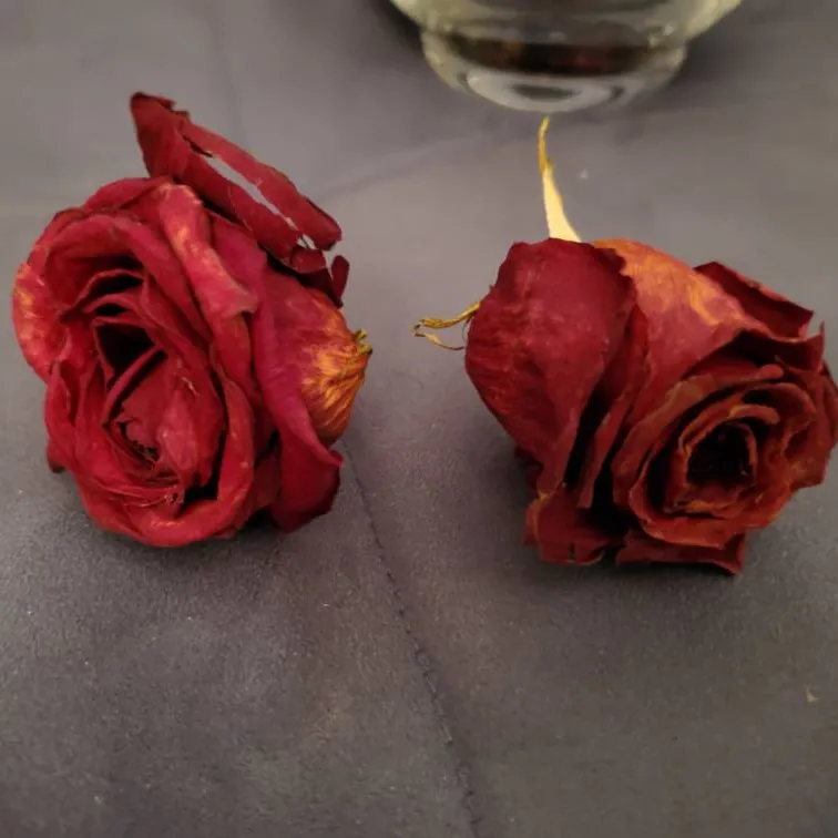 Dried Roses And/ Or Vase photo 4