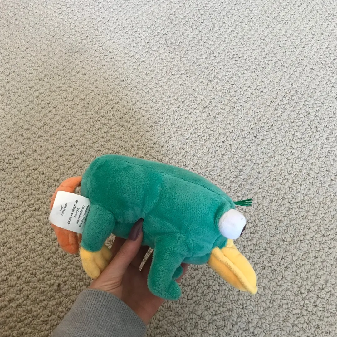 Adorable Little Perry The Platypus photo 3