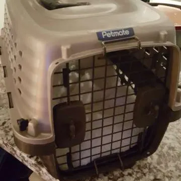 Cat Carrier photo 1