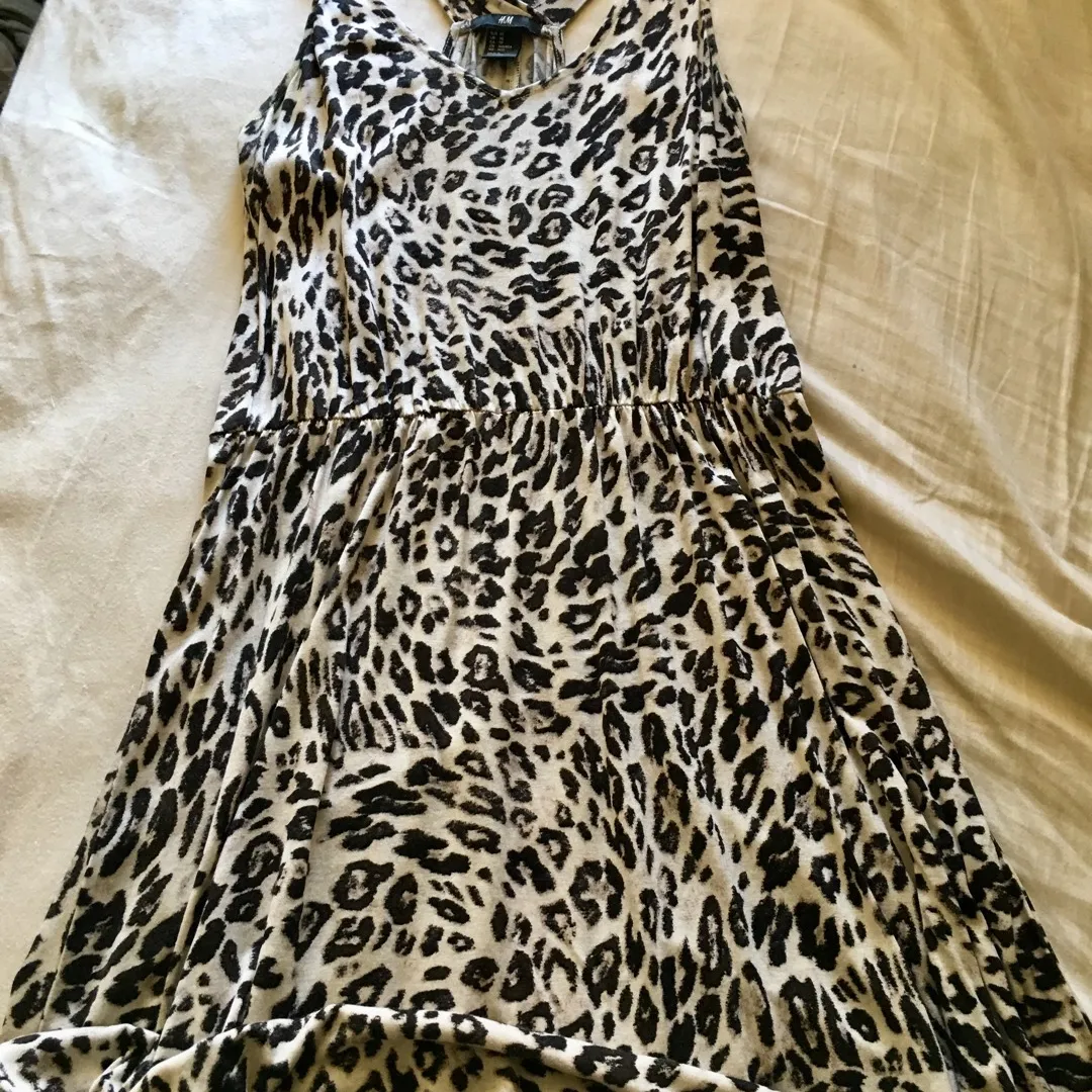 H&M Leopard Dress photo 1