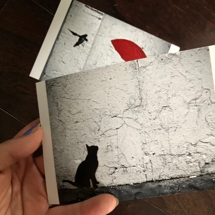 🎁“Cat In Paris” - Photo Print Set 4x6 photo 4