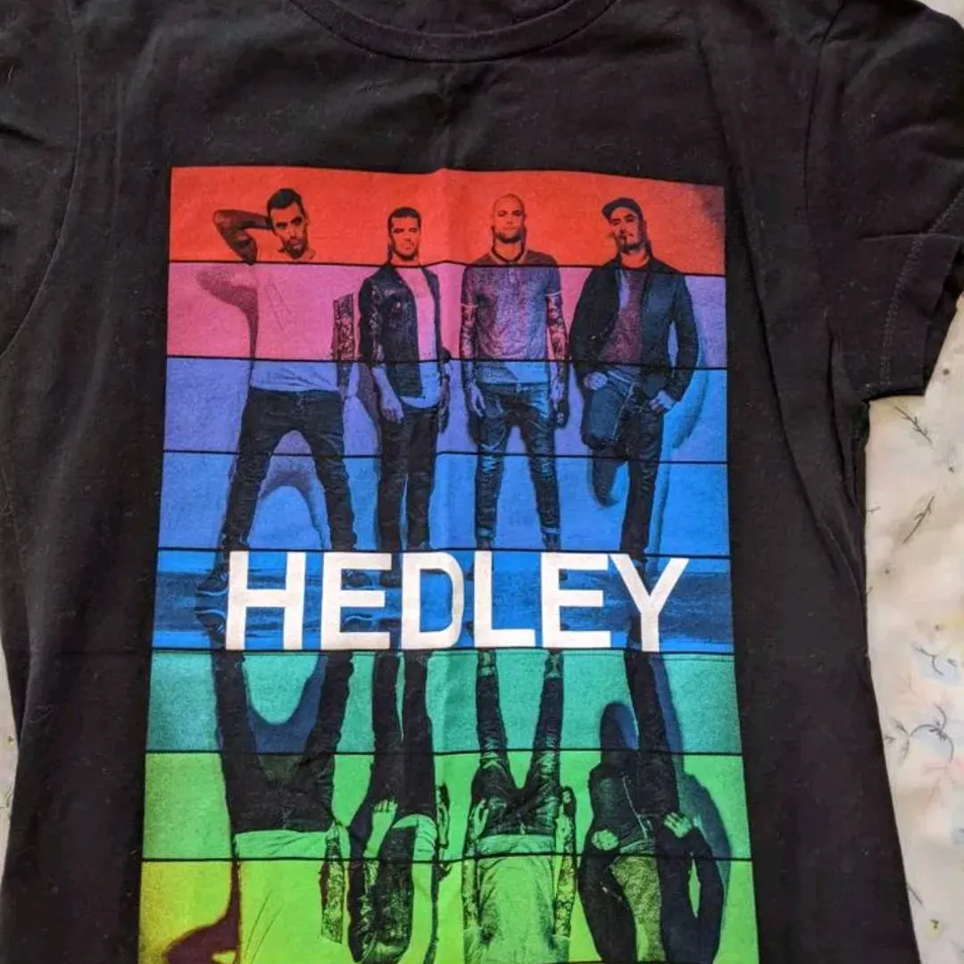 Concert T-shirt - Hedley Wild Live Tour 2014 photo 3