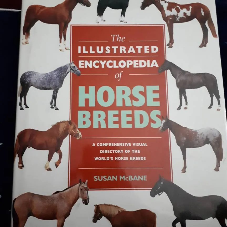 horse books photo 4
