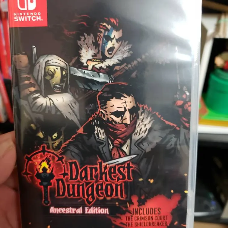 Nintendo Switch Darkest Dungeon photo 1