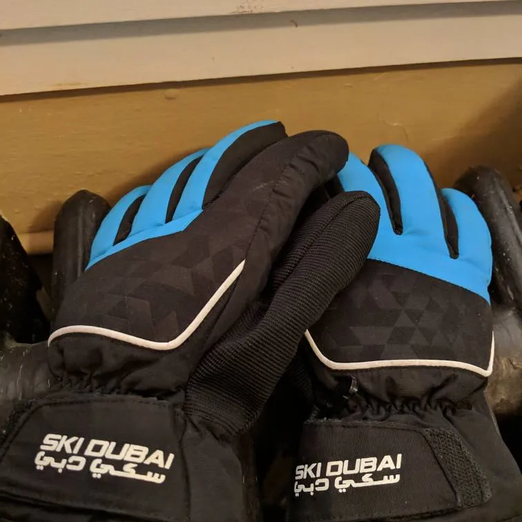 Skiing/Winter Gloves photo 1
