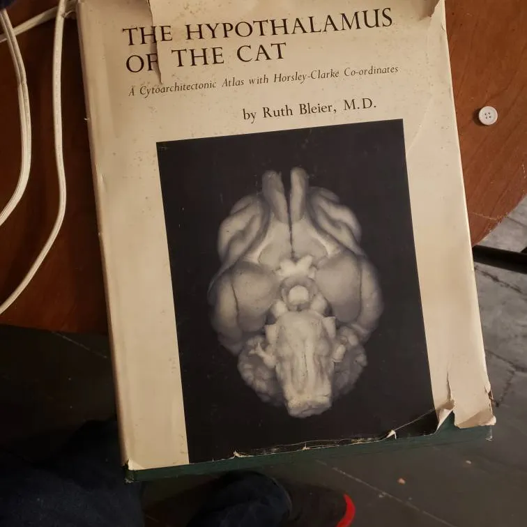 They Hypothalamus Of The Cat photo 1