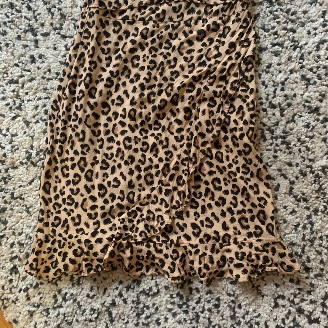 Fun Leopard Print Dress photo 3
