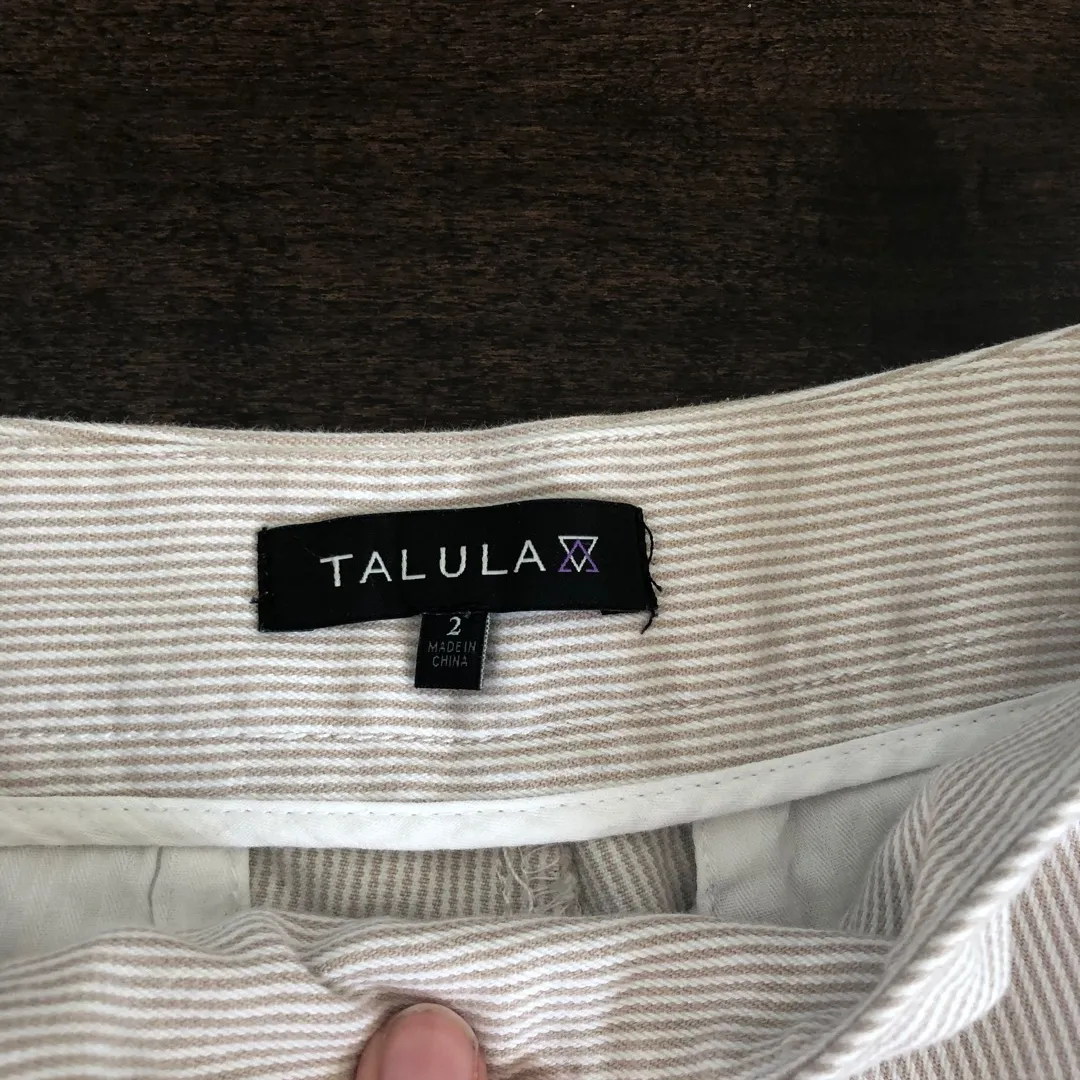 Aritzia Talula Shorts Size 2 photo 4