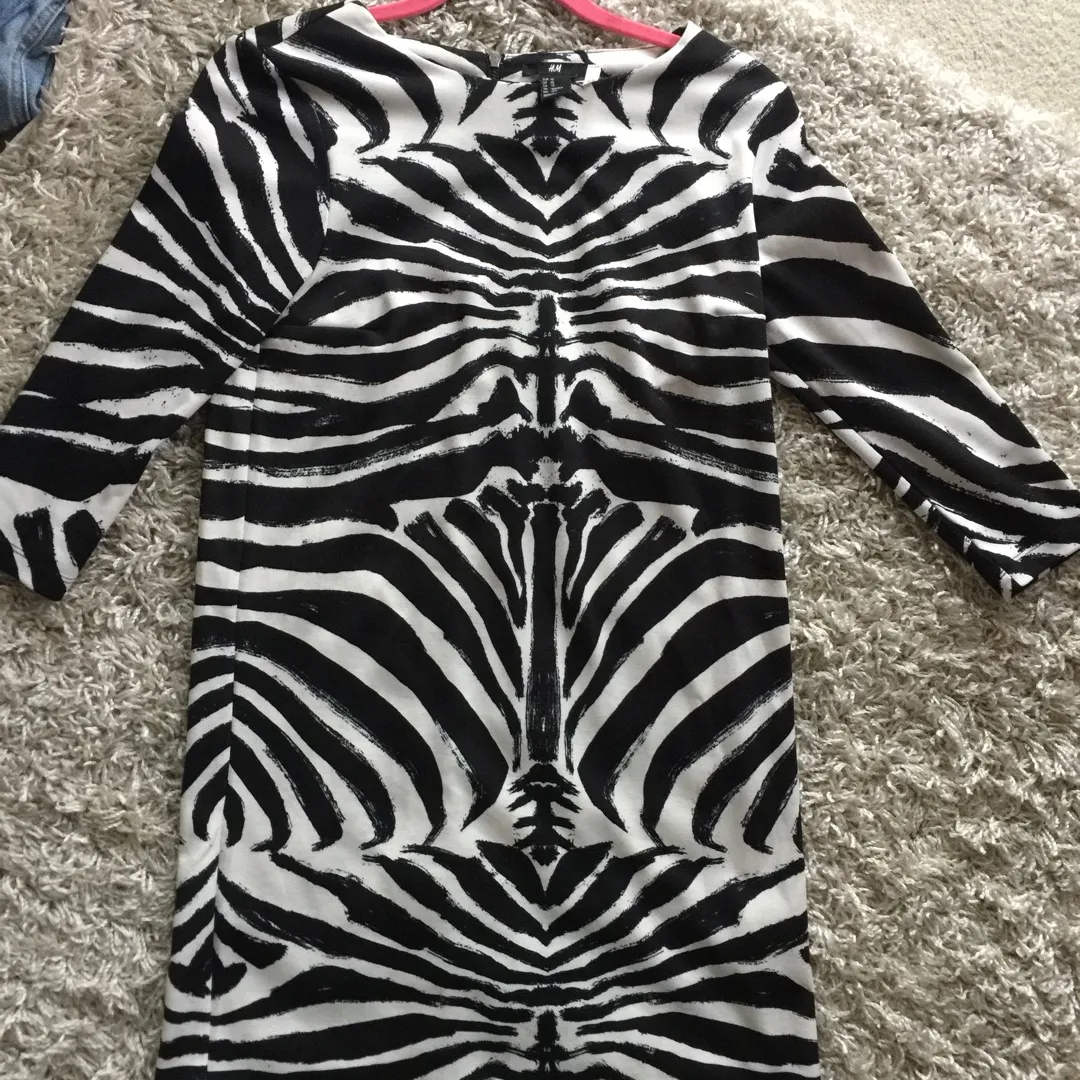 H & M Zebra Print Dress photo 1