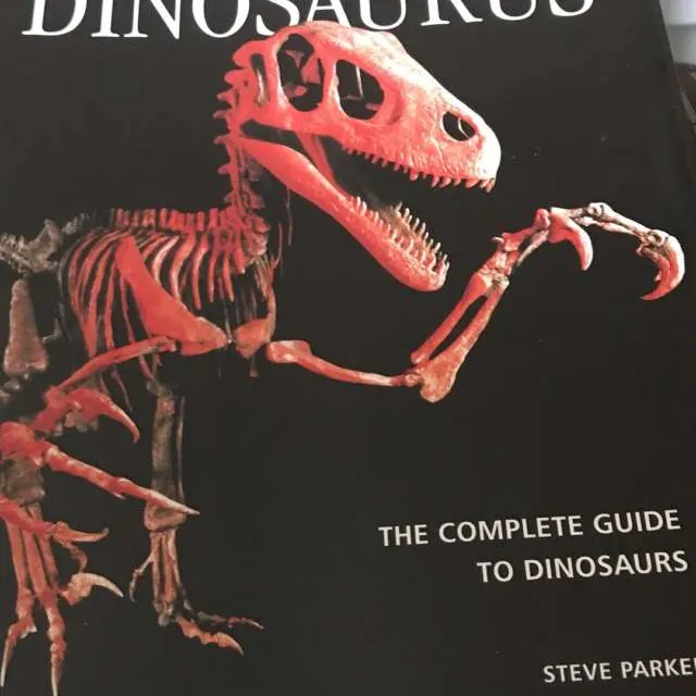 Dinosaur Book!! photo 1