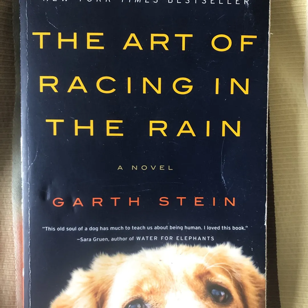 The Art Of Racing In The rain photo 1
