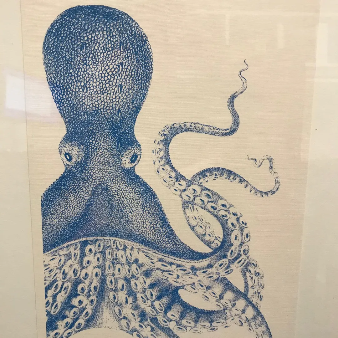 Octopus Print photo 1