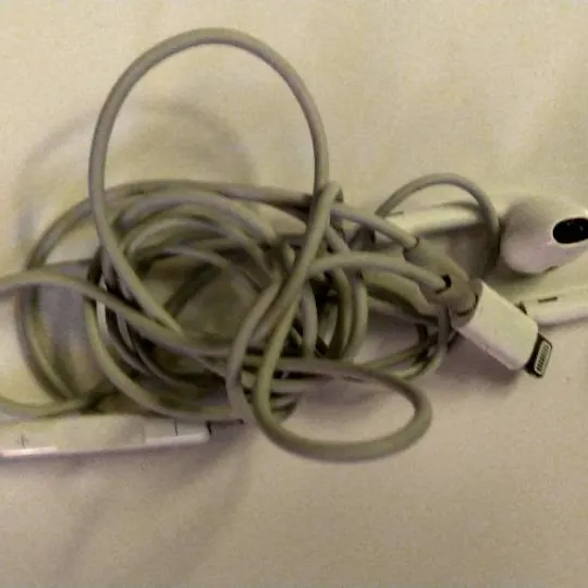 Apple Lighting Headphones photo 1