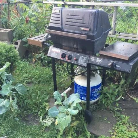 Barbecue With Propane Tank photo 1