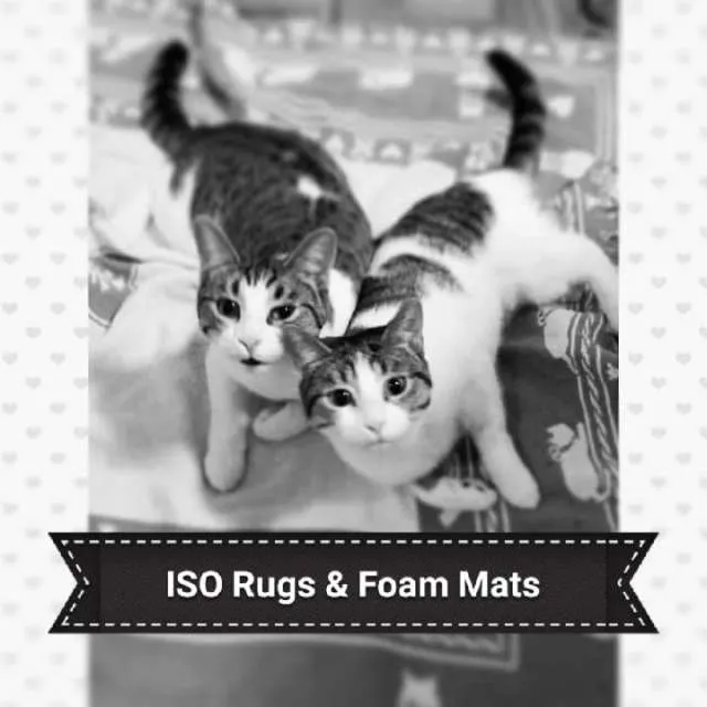 ISO Rugs/Mats for CH Cats photo 1