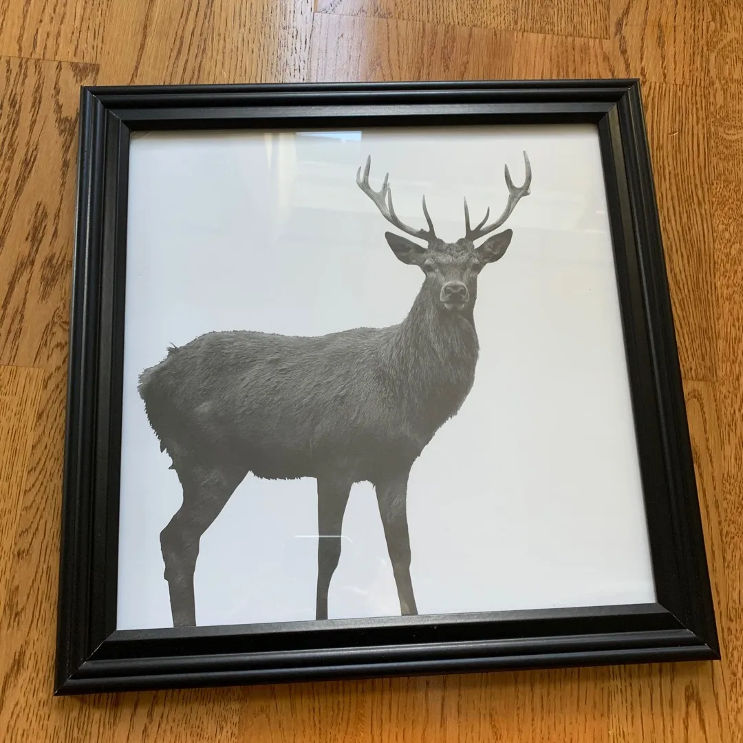 Deer Print From Indigo/Chapters + Frame photo 1