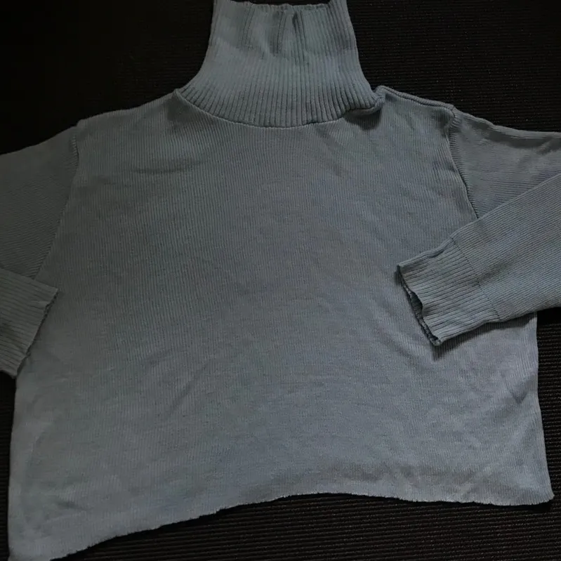 Cropped Baby Blue Turtle Neck photo 1