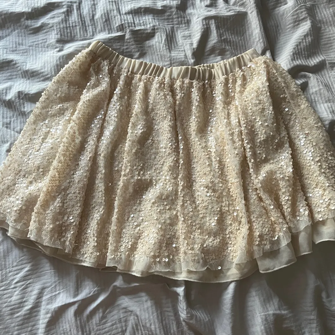 Sequin Cream Skirt photo 1