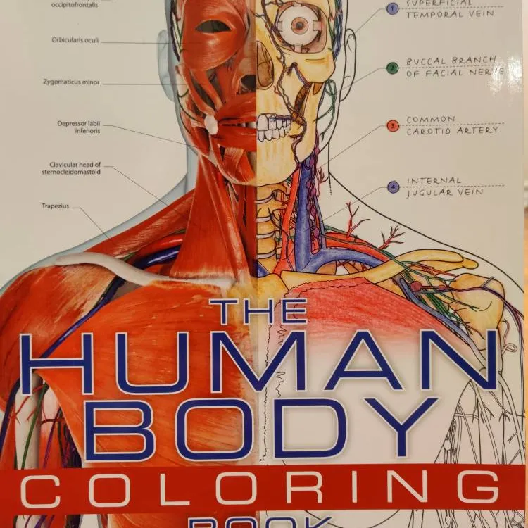 The Human Coloring Book photo 1