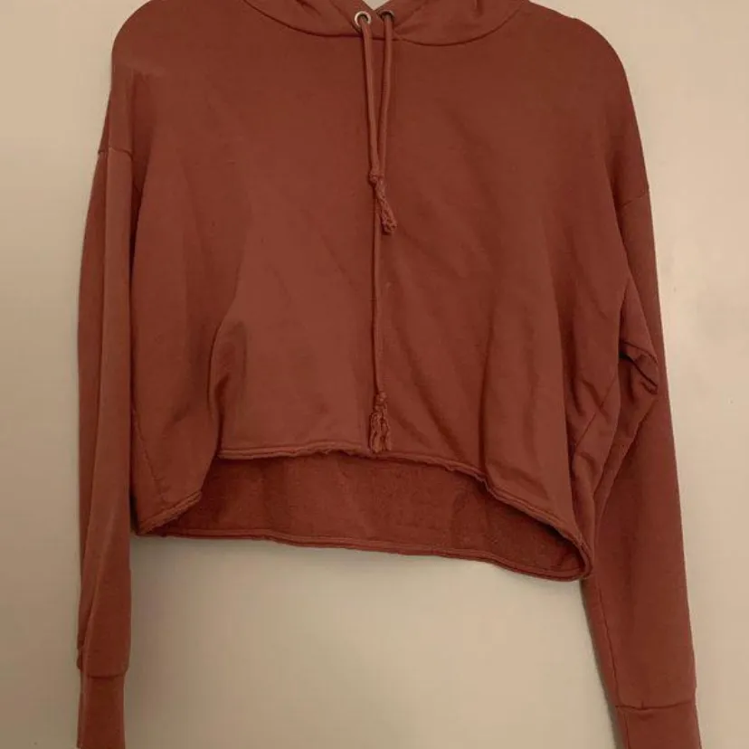 All Saints Cropped Hoodie photo 1