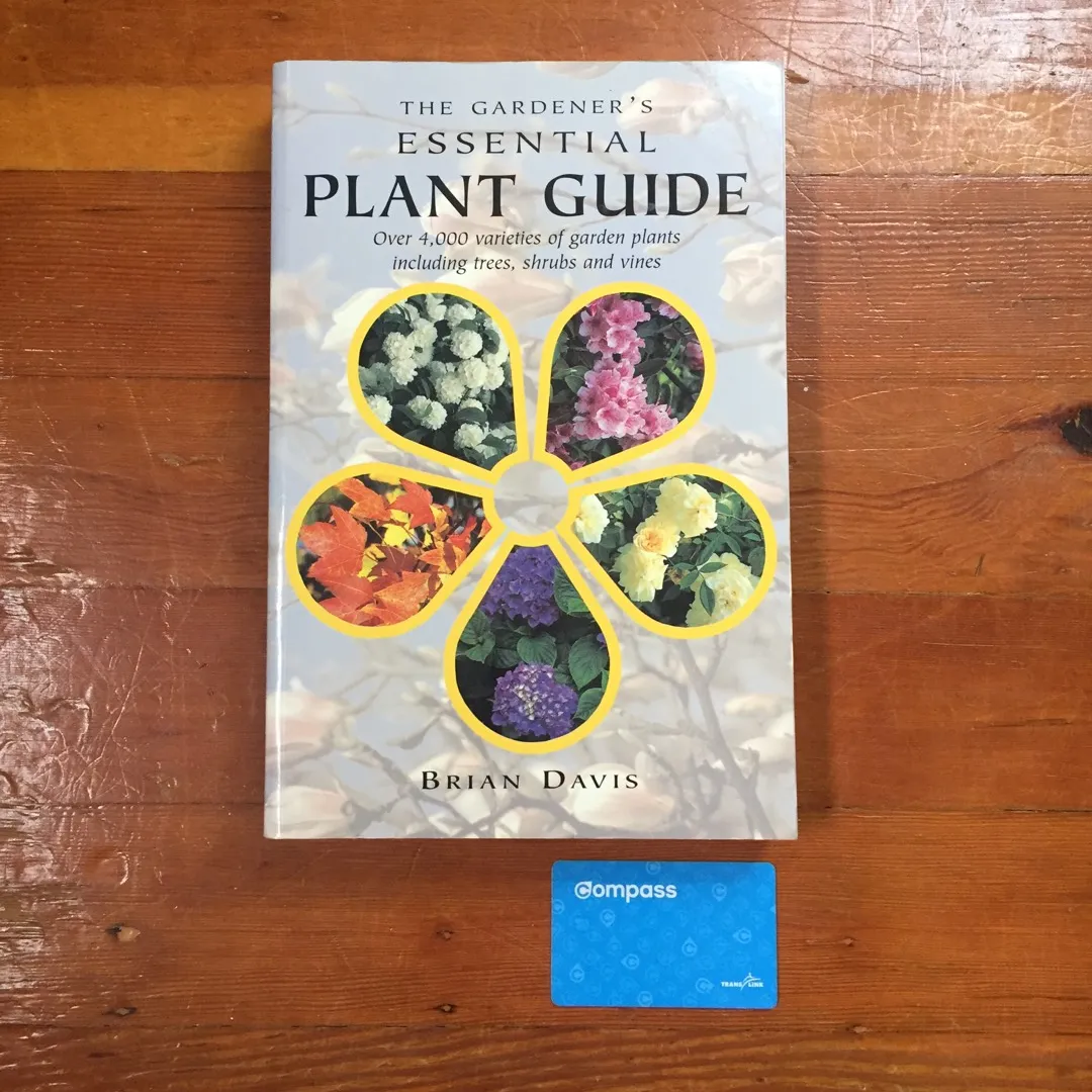 Plant Guide photo 4