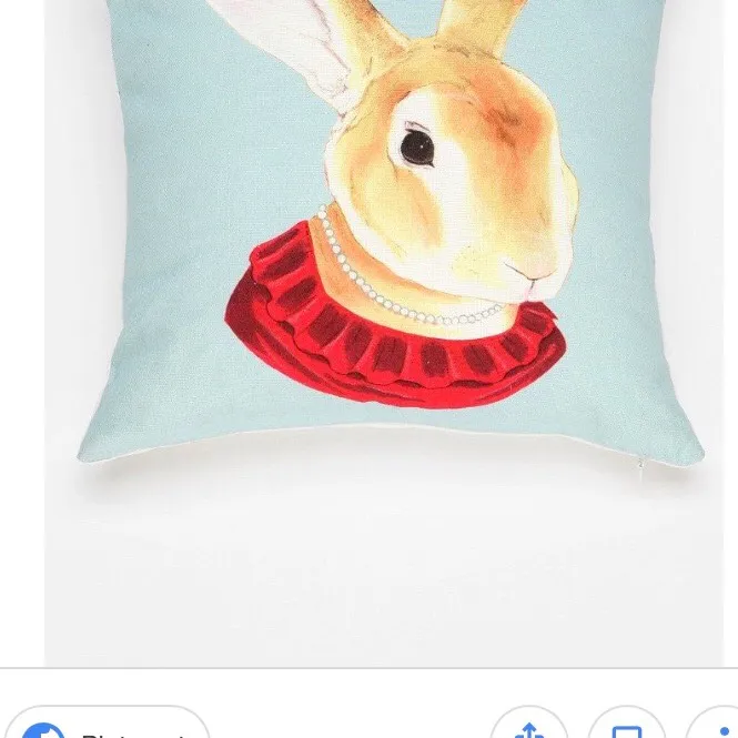 Urban Outfitters Decorative Pillow photo 1